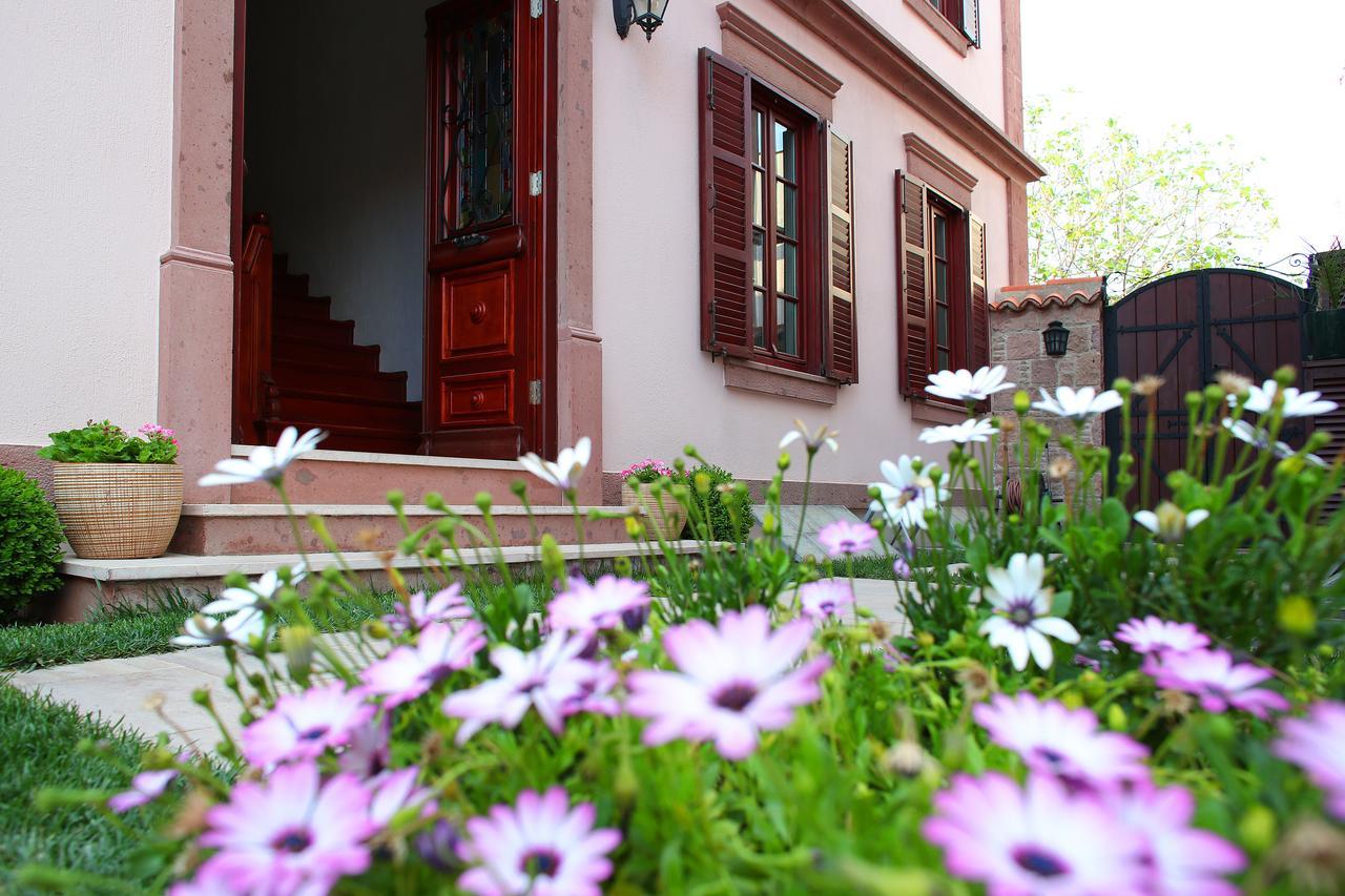 云达迪克住宿加早餐旅馆 Ayvalı 外观 照片